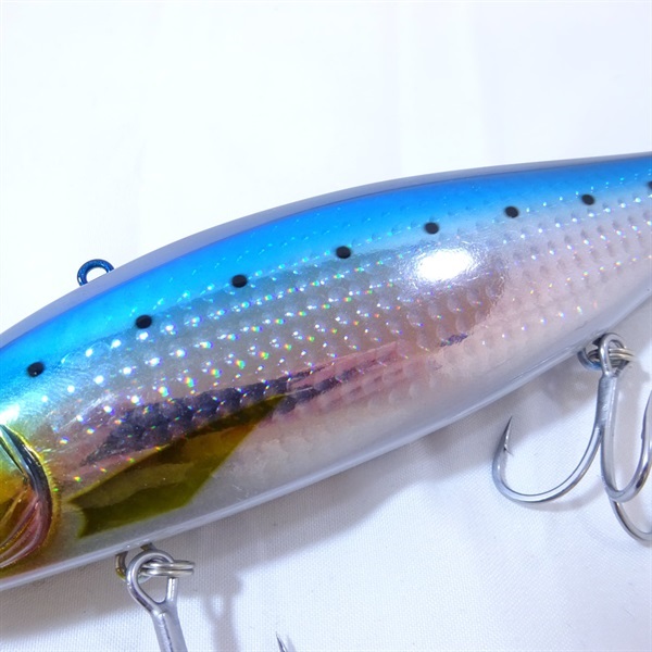 ＶＴジャック２３０イワシ